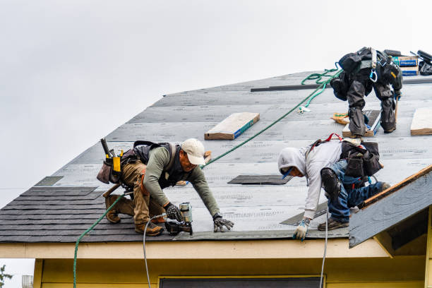 Professional Roofing technician working in Camp Hill, AL